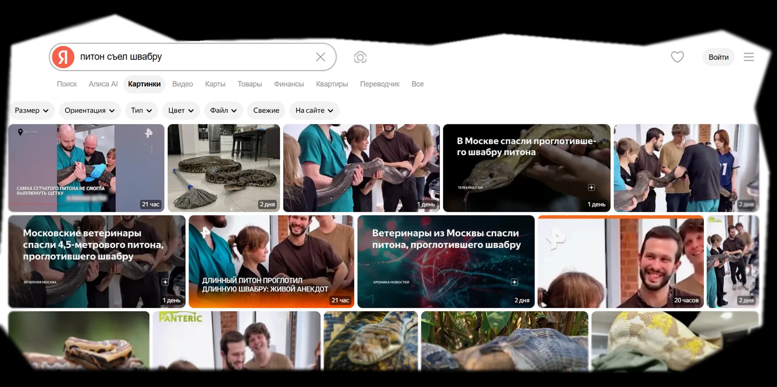 piton-shvabra.webp